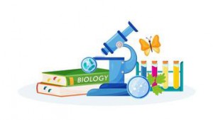 biology-supplies-and-books-vector